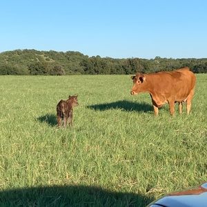 Meet your Posher, Steven
